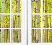 Ventanas blancas con fondo de arboles Aspen 