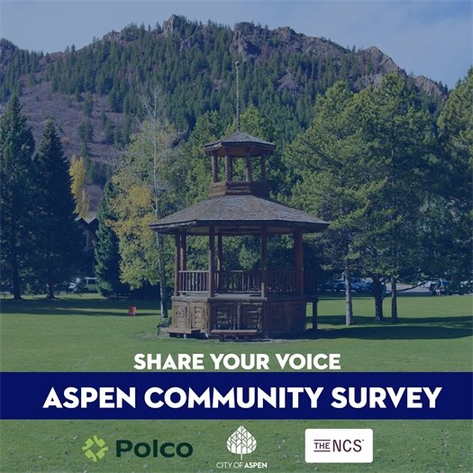 Share your voice flyer