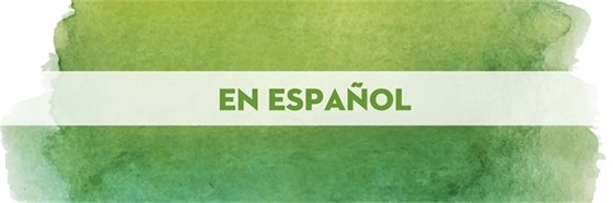 En espanol header