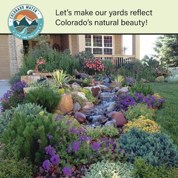 image of garden with different colored plant during the summer 