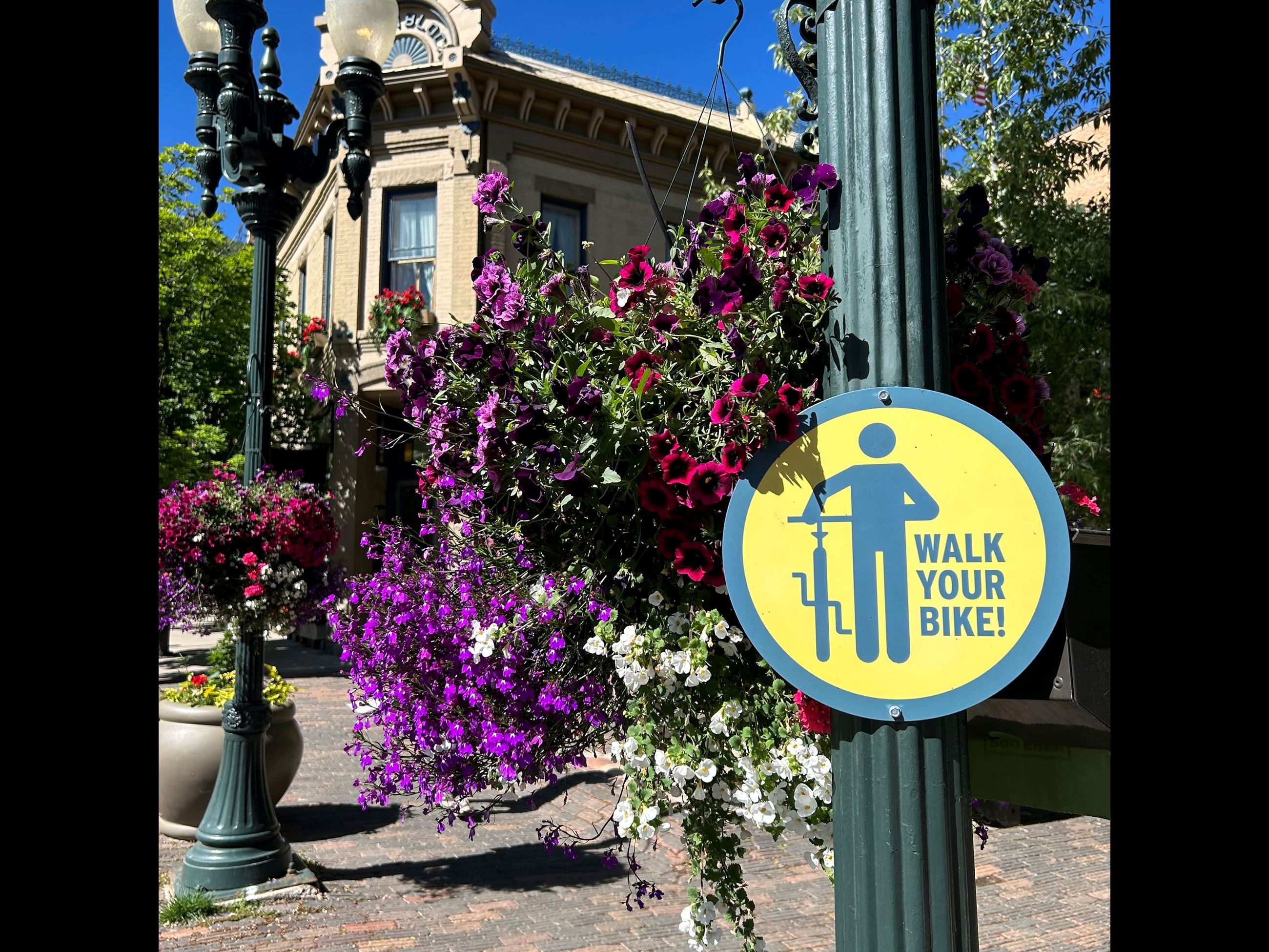 yellow and blue sign on lamp post in pedestrian mall informing bikers to walk bikes