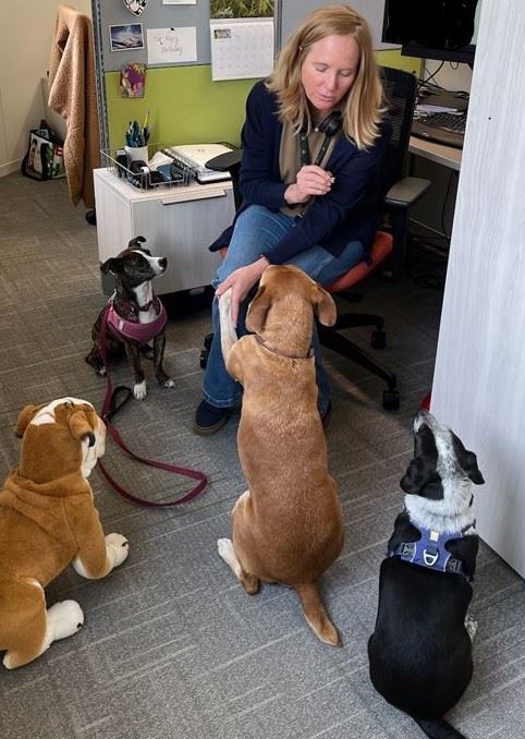 stacy keating office portrait 2023