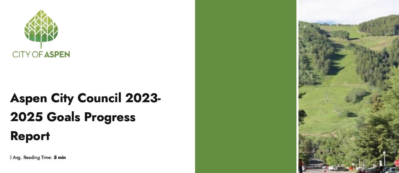 City Council Goals Progress