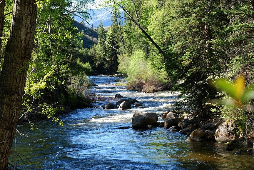 Roaring Fork