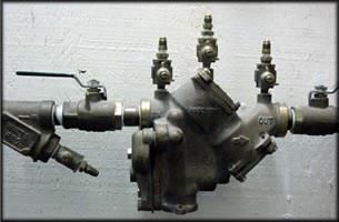 Reduced Pressure Principle Assembly