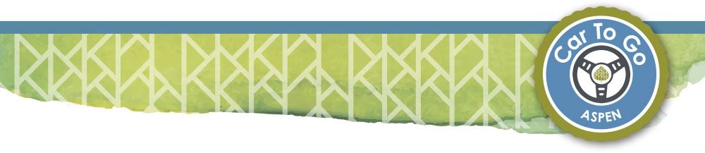 Car To Go Header Logo