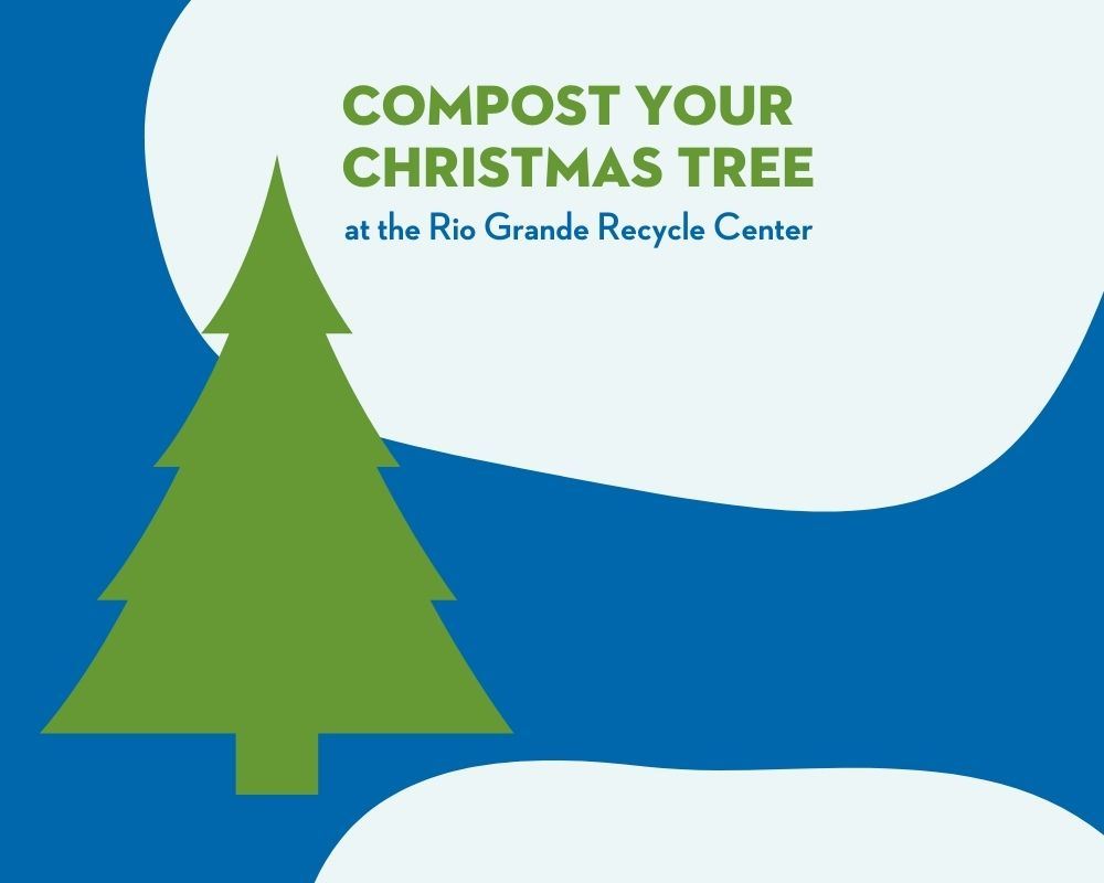 Christmas Tree Compost - Web Spotlight 