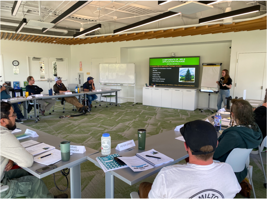 Photo of the QWEL course from 2024. Shows someone giving a talk with students watching. 