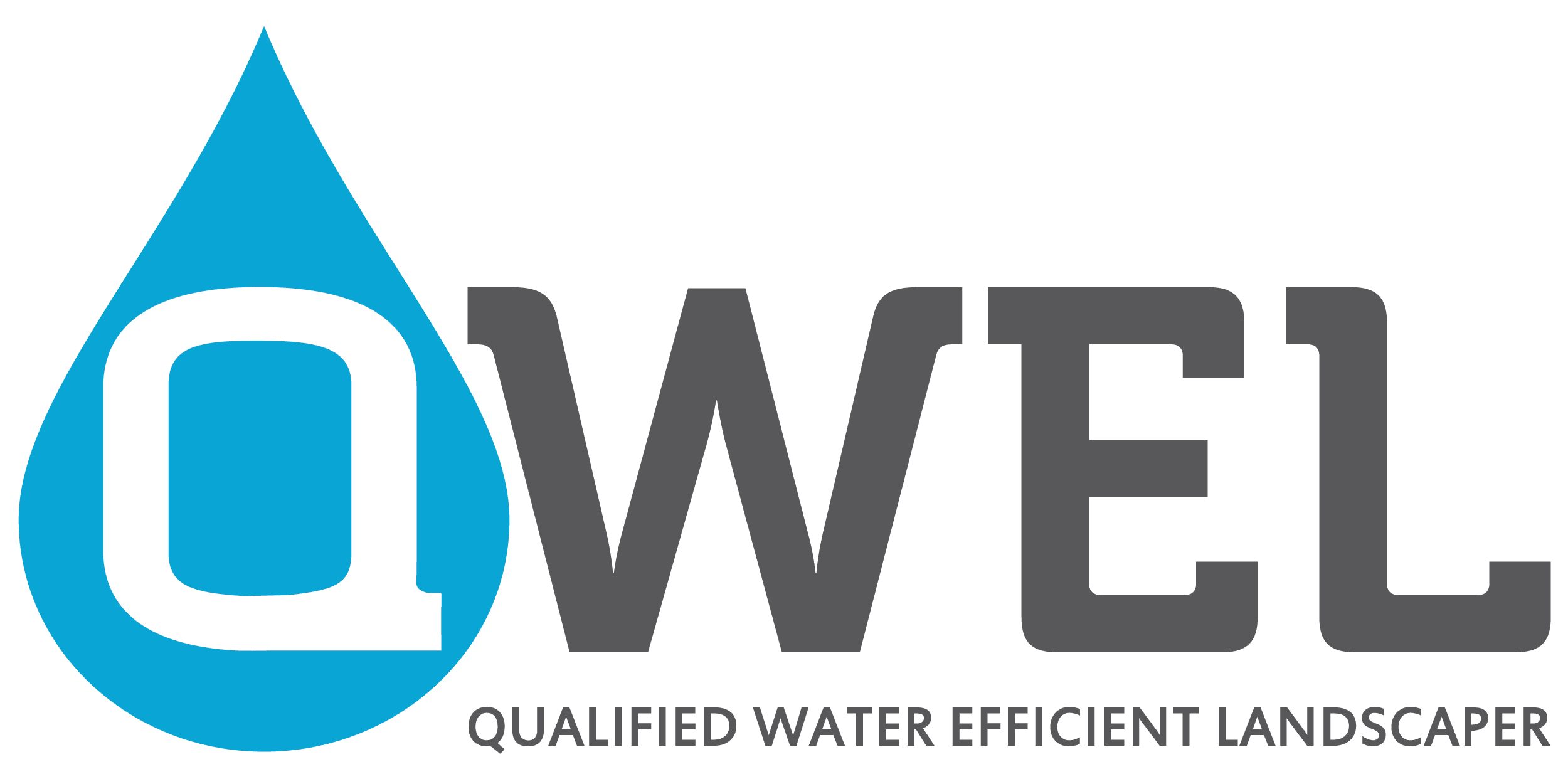 New QWEL logo
