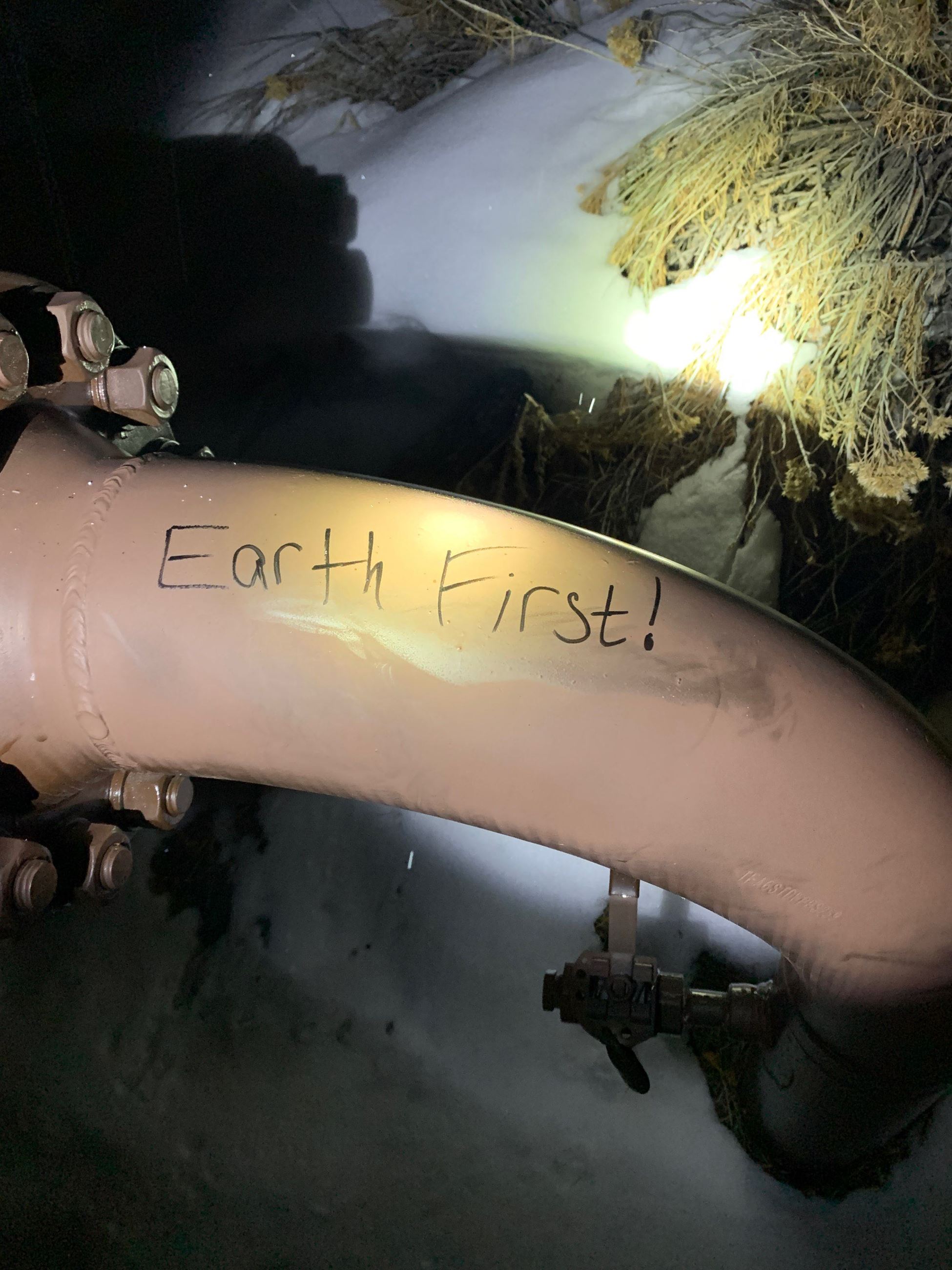 Earth First Graffiti photo 1